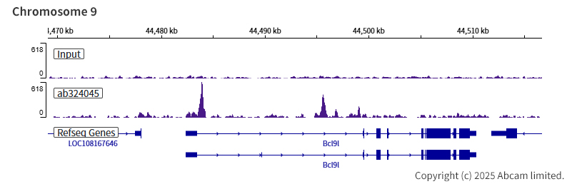 ChIP-sequencing - Anti-AP2 gamma/TFAP2C antibody [EPR29851-13] (ab324045), expandable thumbnail
