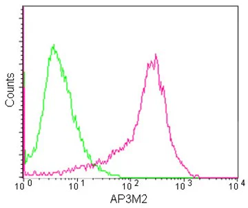 Flow Cytometry (Intracellular) - Anti-AP3M2 antibody [EPR12965] - BSA and Azide free (AB250149)