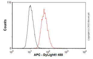 Flow Cytometry - Anti-APC antibody [ALi 12-28] (AB58)