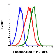 Flow Cytometry - APC Anti-Bad (phospho S112) antibody [BADS112-B9] (AB278751)