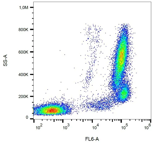Flow Cytometry - APC Anti-Bone marrow stromal cell antigen 1 antibody [SY11B5] (AB233256)