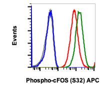 Flow Cytometry - APC Anti-c-Fos (phospho S32) antibody [cFOSS32-BA9] (AB278659), expandable thumbnail