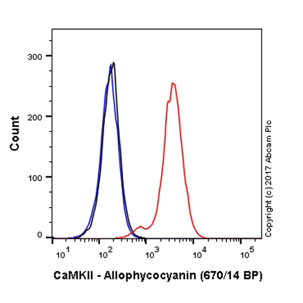 Flow Cytometry (Intracellular) - APC Anti-CaMKII antibody [EPR6686(2)] (AB225178)