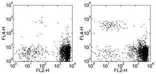 Flow Cytometry - APC Anti-CCR3 antibody [5E8-G9-B4] (AB155356)