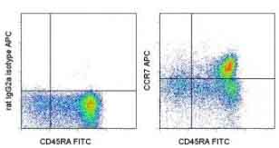 Flow Cytometry - APC Anti-CCR7 antibody [3D12] (AB155382)
