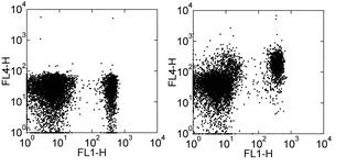 Flow Cytometry - APC Anti-CCR7 antibody [4B12] (AB93518)