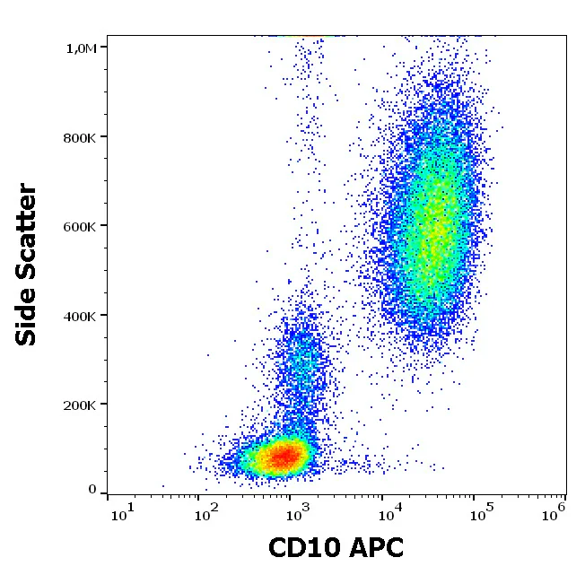 Flow Cytometry - APC Anti-CD-10 antibody [MEM-78] (AB326454)