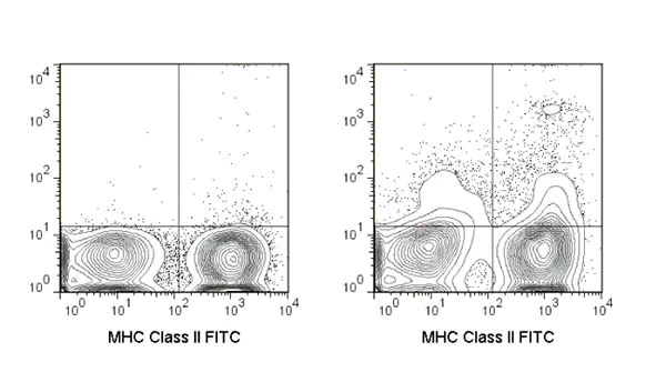 Flow Cytometry - APC Anti-CD11c antibody [N418] (AB210306)