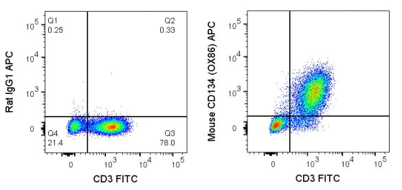 Flow Cytometry - APC Anti-CD134 / OX40L receptor antibody [OX-86] (AB272268)