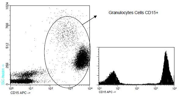 Flow Cytometry - APC Anti-CD15 antibody [MCS-1] (AB91151)