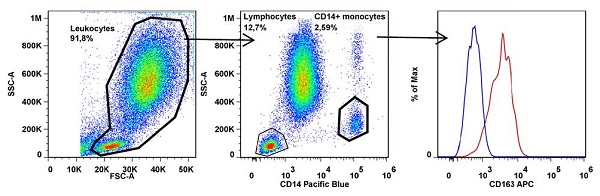 Flow Cytometry - APC Anti-CD163 antibody [GHI/61] (AB134416)
