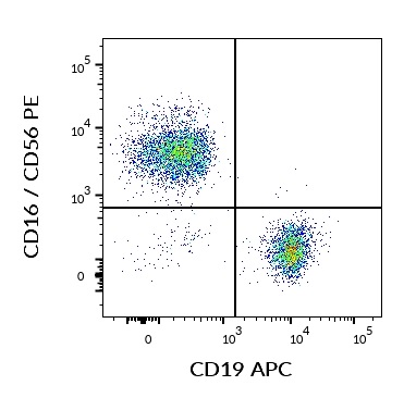 Flow Cytometry - APC Anti-CD19 antibody [LT19] (AB18224)