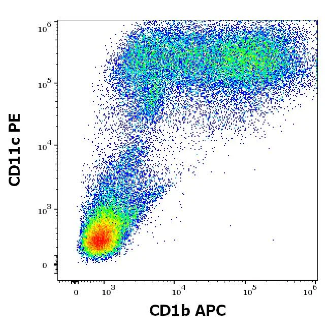 Flow Cytometry - APC Anti-CD1b antibody [SN13] (AB326476)