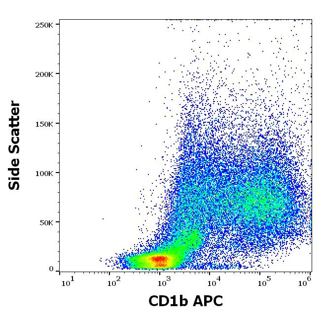 Flow Cytometry - APC Anti-CD1b antibody [SN13] (AB326476)