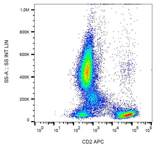 Flow Cytometry - APC Anti-CD2 antibody [LT2] (AB239282), expandable thumbnail