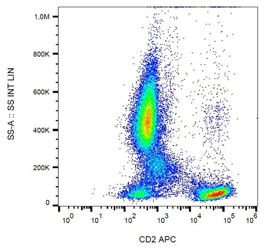 Flow Cytometry - APC Anti-CD2 antibody [LT2] (AB239282)