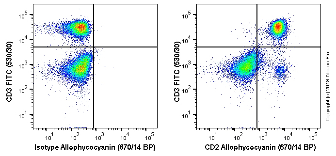Flow Cytometry - APC Anti-CD2 antibody [OX34] (AB256307)