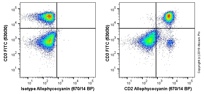 Flow Cytometry - APC Anti-CD2 antibody [OX34] (AB256307)