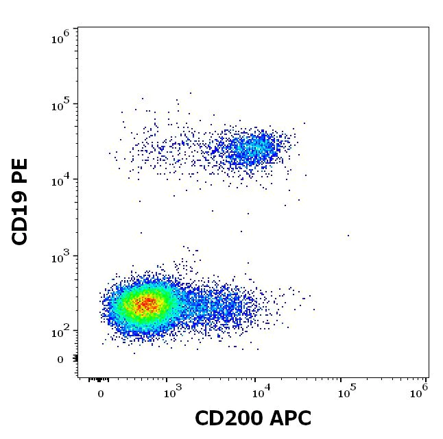 Flow Cytometry - APC Anti-CD200 / OX2 antibody [OX-104] (AB233251)