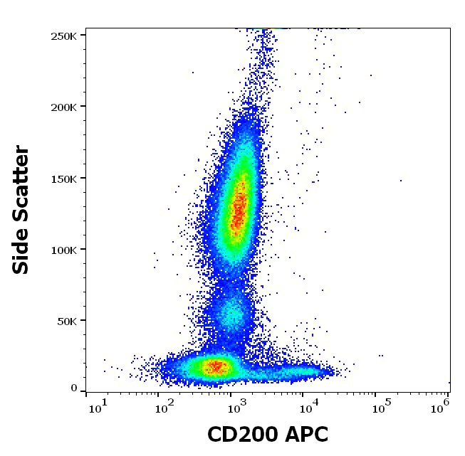 Flow Cytometry - APC Anti-CD200 / OX2 antibody [OX-104] (AB233251)