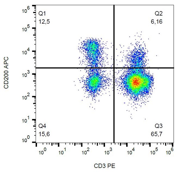 Flow Cytometry - APC Anti-CD200 / OX2 antibody [OX-104] (AB233251)