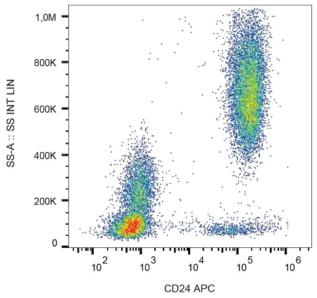 Flow Cytometry - APC Anti-CD24 antibody [SN3] (AB239286)