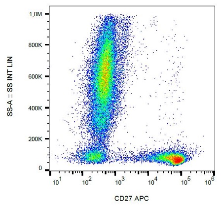 Flow Cytometry - APC Anti-CD27 antibody [LT27] (AB239293), expandable thumbnail