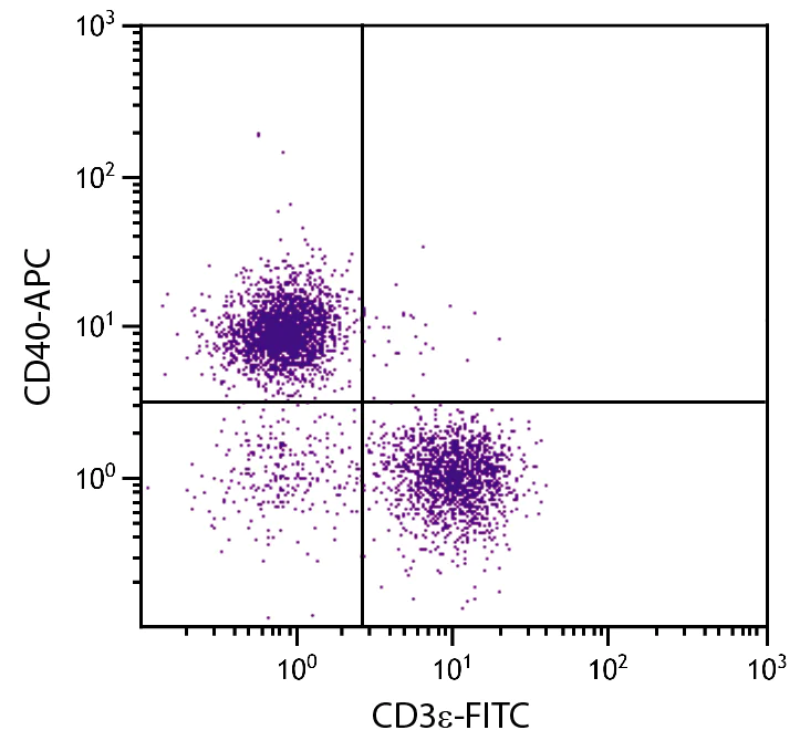 Flow Cytometry - APC Anti-CD40 antibody [1C10] (AB25567)