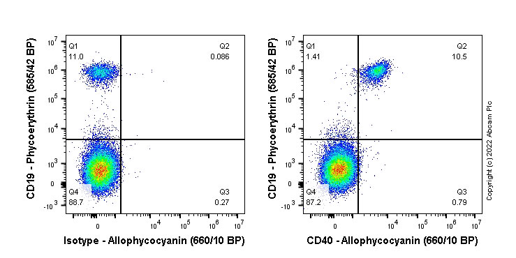 Flow Cytometry - APC Anti-CD40 antibody [EPR20735] (AB306538), expandable thumbnail
