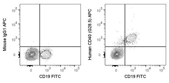 Flow Cytometry - APC Anti-CD40 antibody [G28.5] (AB272271)