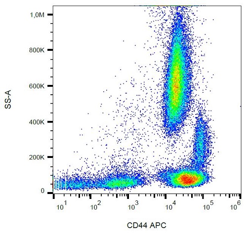 Flow Cytometry - APC Anti-CD44 antibody [MEM-85] (AB239294), expandable thumbnail