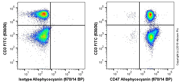Flow Cytometry - APC Anti-CD47 antibody [OX-101] (AB256293)