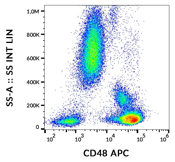 Flow Cytometry - APC Anti-CD48 antibody [MEM-102] (AB76904)