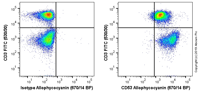 Flow Cytometry - APC Anti-CD53 antibody [MRC OX-44] (AB256288)