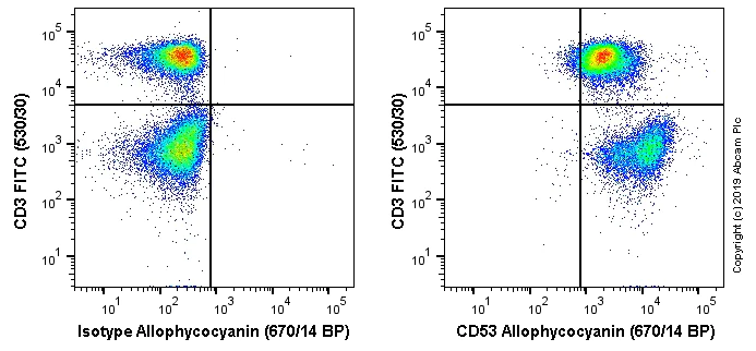 Flow Cytometry - APC Anti-CD53 antibody [MRC OX-44] (AB256288)