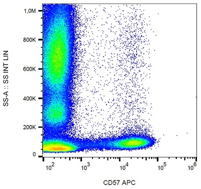 Flow Cytometry - APC Anti-CD57 antibody [TB01] (AB234264)