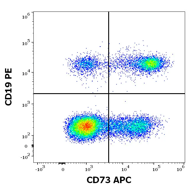 Flow Cytometry - APC Anti-CD73 antibody [AD2] (AB326471)