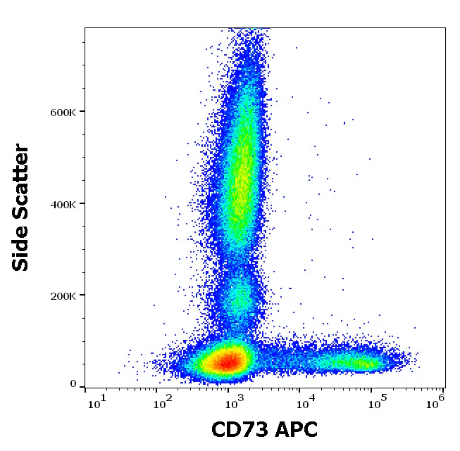 Flow Cytometry - APC Anti-CD73 antibody [AD2] (AB326471)