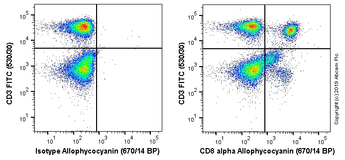 Flow Cytometry - APC Anti-CD8 alpha antibody [OX-8] (AB256309)