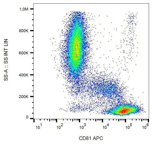 Flow Cytometry - APC Anti-CD81 antibody [M38] (AB233259)