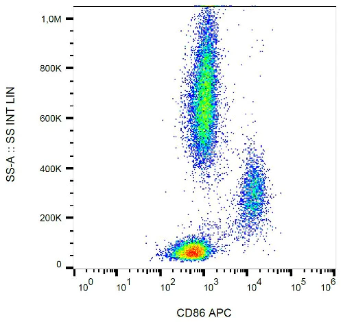 Flow Cytometry - APC Anti-CD86 antibody [BU63] (AB134385)