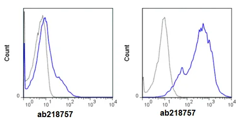 Flow Cytometry - APC Anti-CD86 antibody [GL-1] (AB218757)
