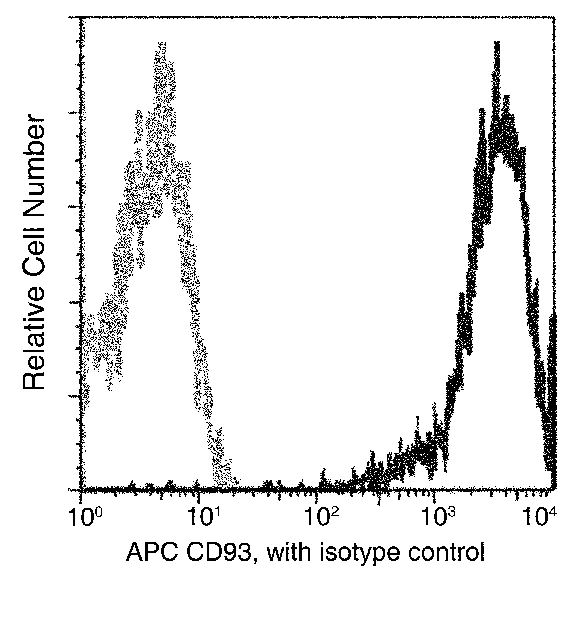 Flow Cytometry - APC Anti-CD93 antibody [01] (AB275582)
