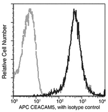 Flow Cytometry - APC Anti-CEACAM5 antibody [061] (AB275585), expandable thumbnail