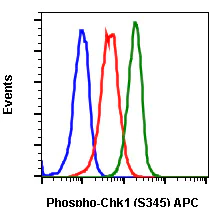 Flow Cytometry - APC Anti-Chk1 (phospho S345) antibody [Chk1S345-R3F9] (AB278585)