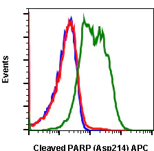 Flow Cytometry - APC Anti-Cleaved PARP1 antibody [PARP-H8] (AB278607)