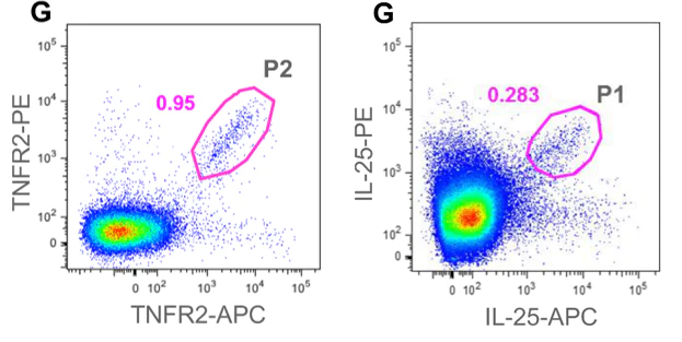 Conjugation - APC Conjugation Kit - Lightning-Link® (AB201807)