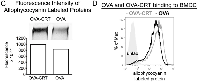 Conjugation - APC Conjugation Kit - Lightning-Link® (AB201807)