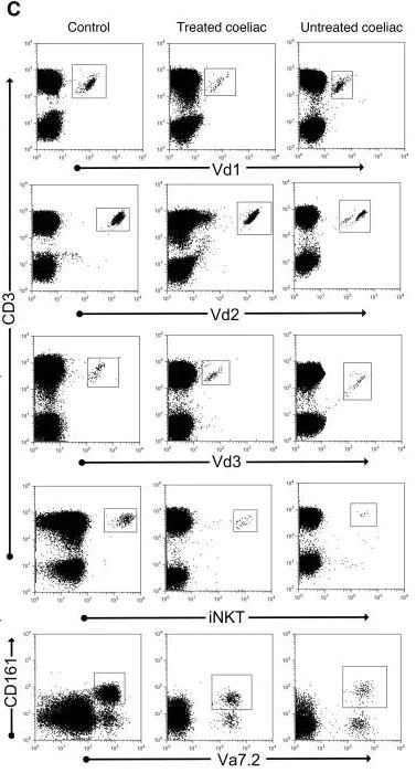 Flow Cytometry - APC Conjugation Kit - Lightning-Link® (AB201807)