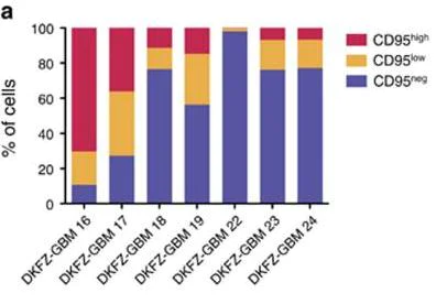 Flow Cytometry - APC Conjugation Kit - Lightning-Link® (AB201807)